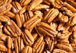 Cardamom